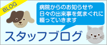 るり動物病院スタッフブログ