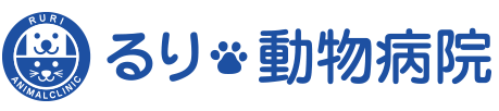 るり動物病院|枚方市|犬・猫・うさぎ・フェレット診察可